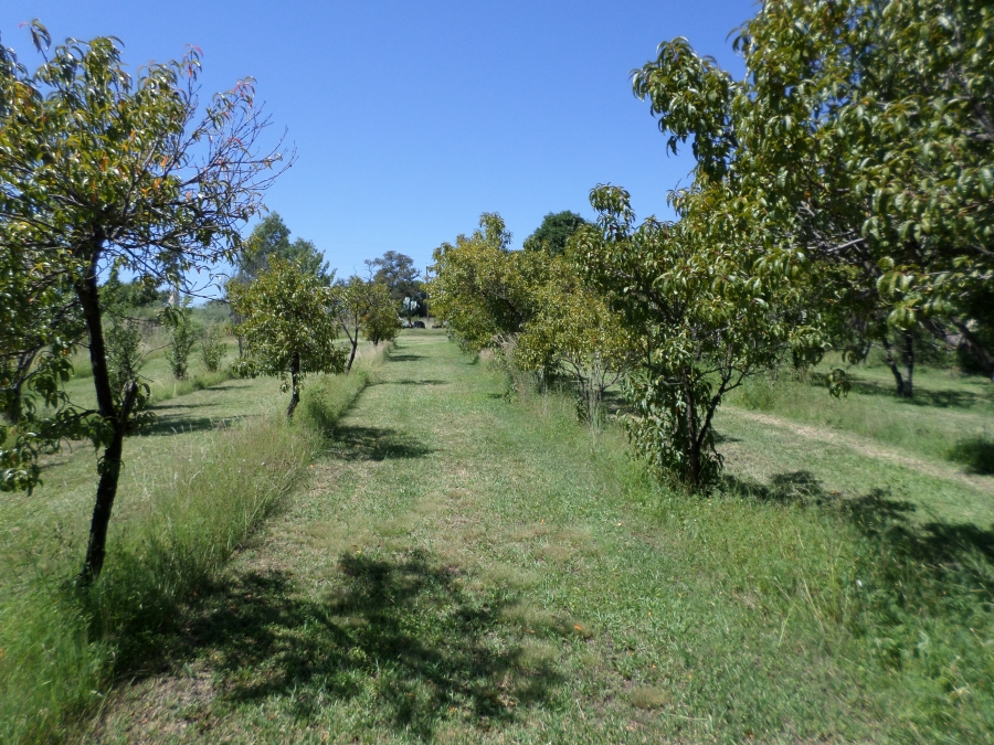 9 Bedroom Property for Sale in Ventersdorp North West